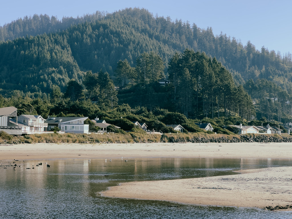 Beach cottages at the base of a forested coastal headland
